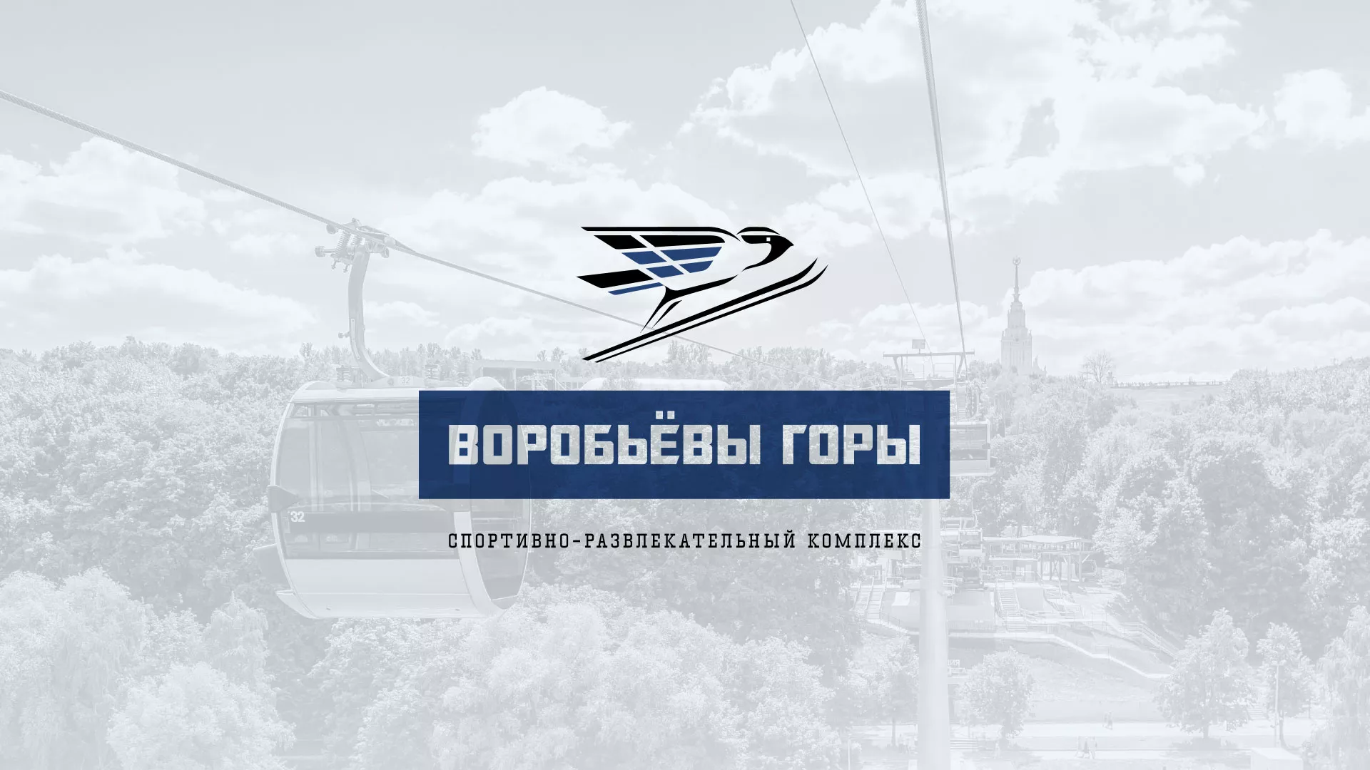 Разработка сайта в Грозном для спортивно-развлекательного комплекса «Воробьёвы горы»